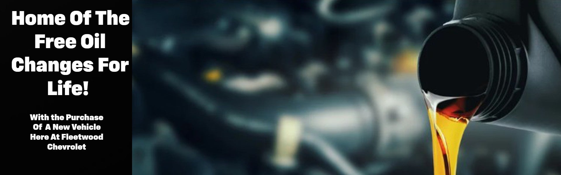 Home Of The Free Oil Changes For Life